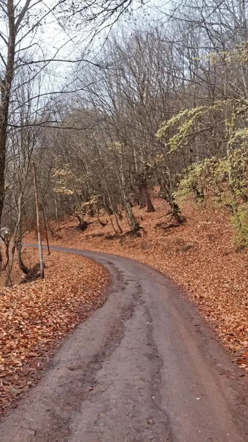 فروش زمین مرزن آباد دهکده ی زیبای باندر|فروش زمین و ملک کلنگی|مرزن‌آباد, |دیوار