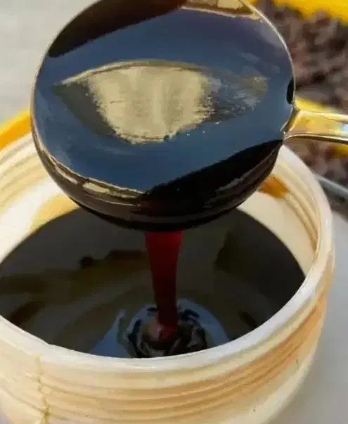 بلیت|بلیت اتوبوس، مترو، قطار|برازجان, |دیوار