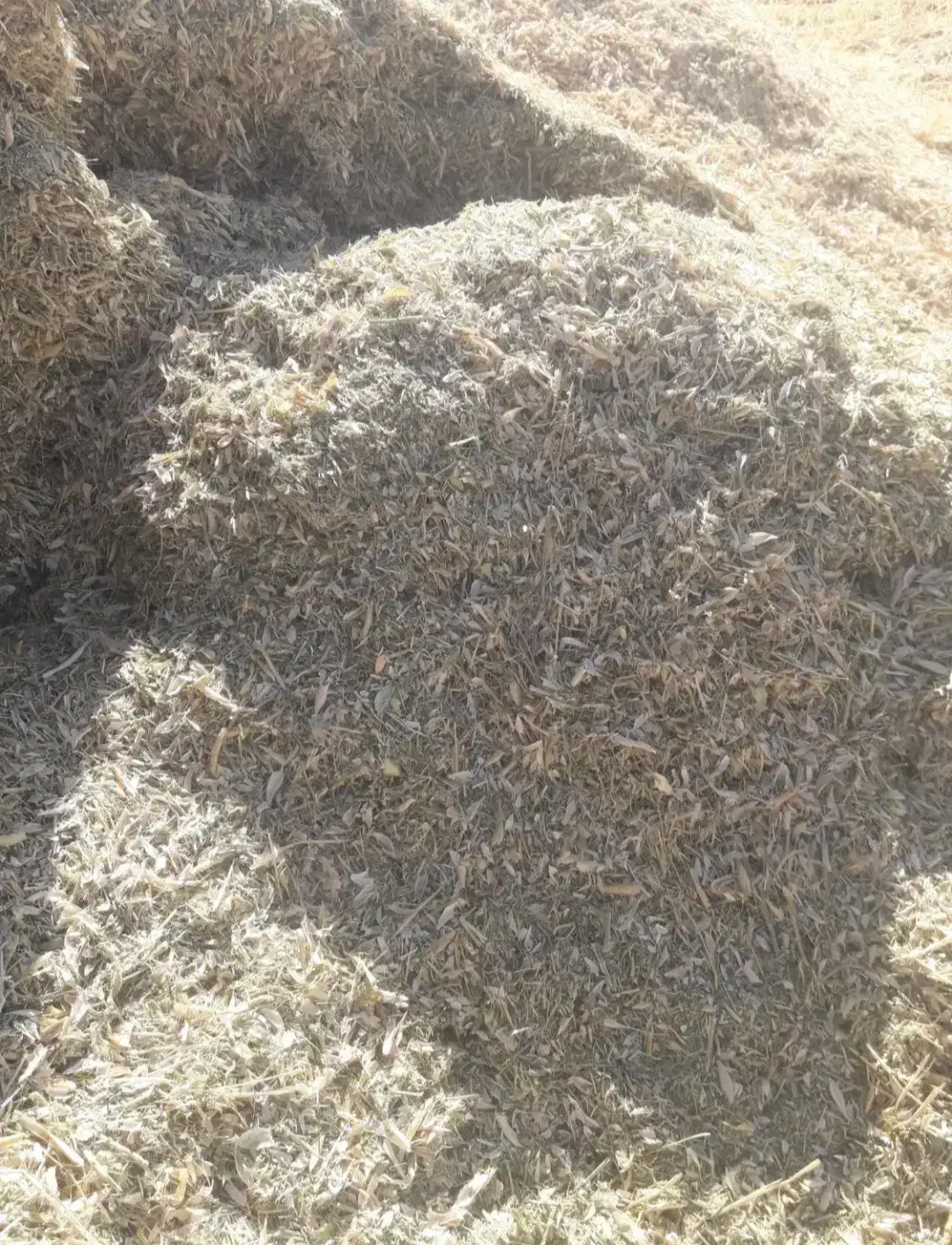 کاه لوبیا قرمز|لوازم جانبی حیوانات|ایجرود, |دیوار