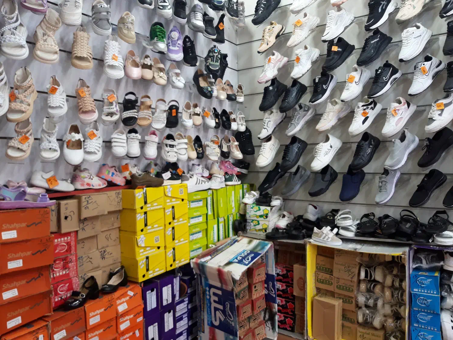 به علت تغییر شغل|کیف، کفش، کمربند|گرگان, |دیوار