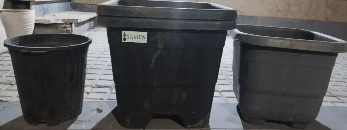 گلدان پلاستیکی|گل و گیاه طبیعی|تهران, تهرانپارس شرقی|دیوار