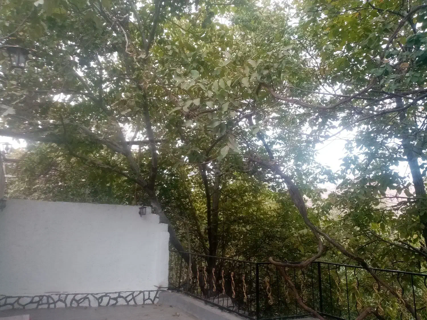 خونه ویلایی دهبکری|فروش خانه و ویلا|بم, |دیوار