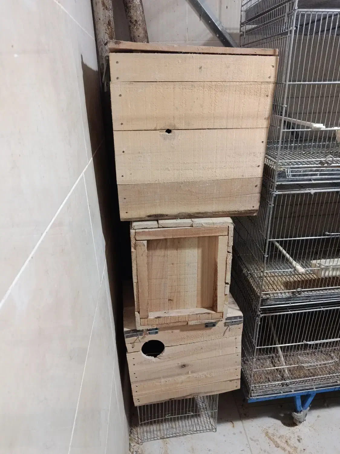 لونه لانه چوبی طوطی|لوازم جانبی حیوانات|ملارد, |دیوار