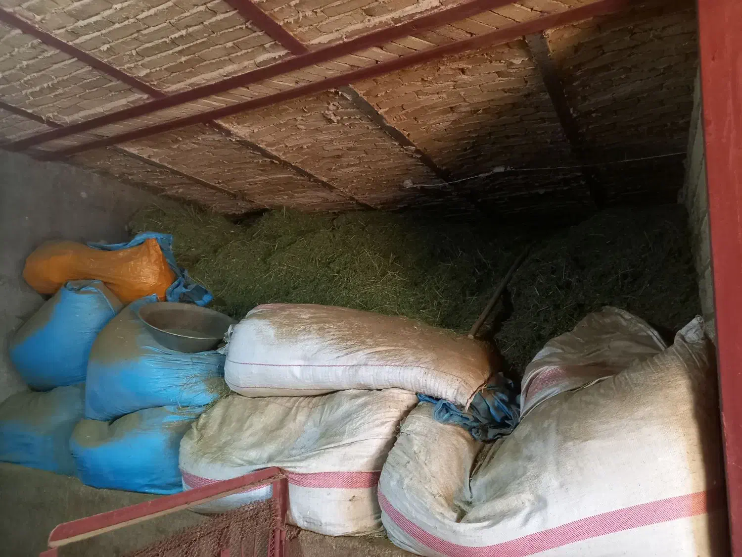 حدود ۲۰خلوارکاه سفید دیم وگل یونجه وشبدرفروشی|لوازم جانبی حیوانات|بروجرد, |دیوار