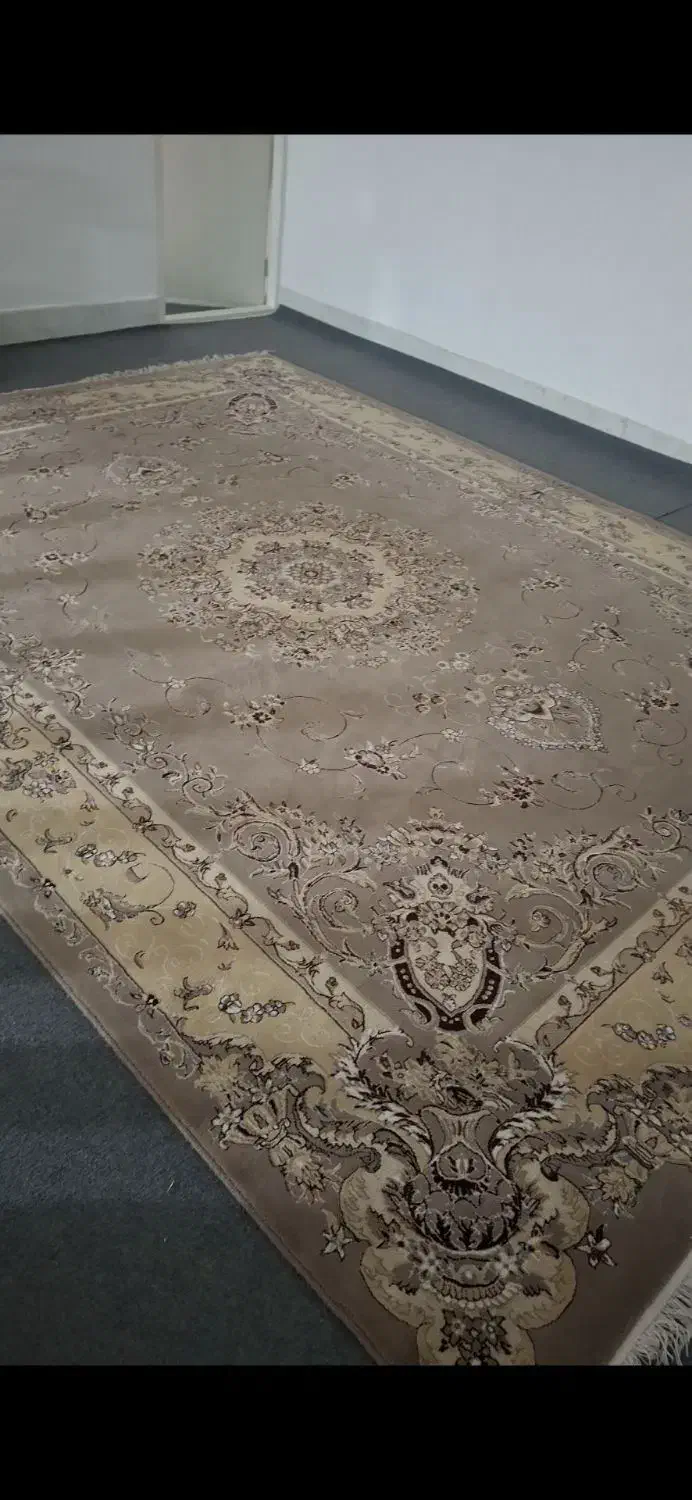 دو عددفرش 12متری|فرش|گالیکش, |دیوار