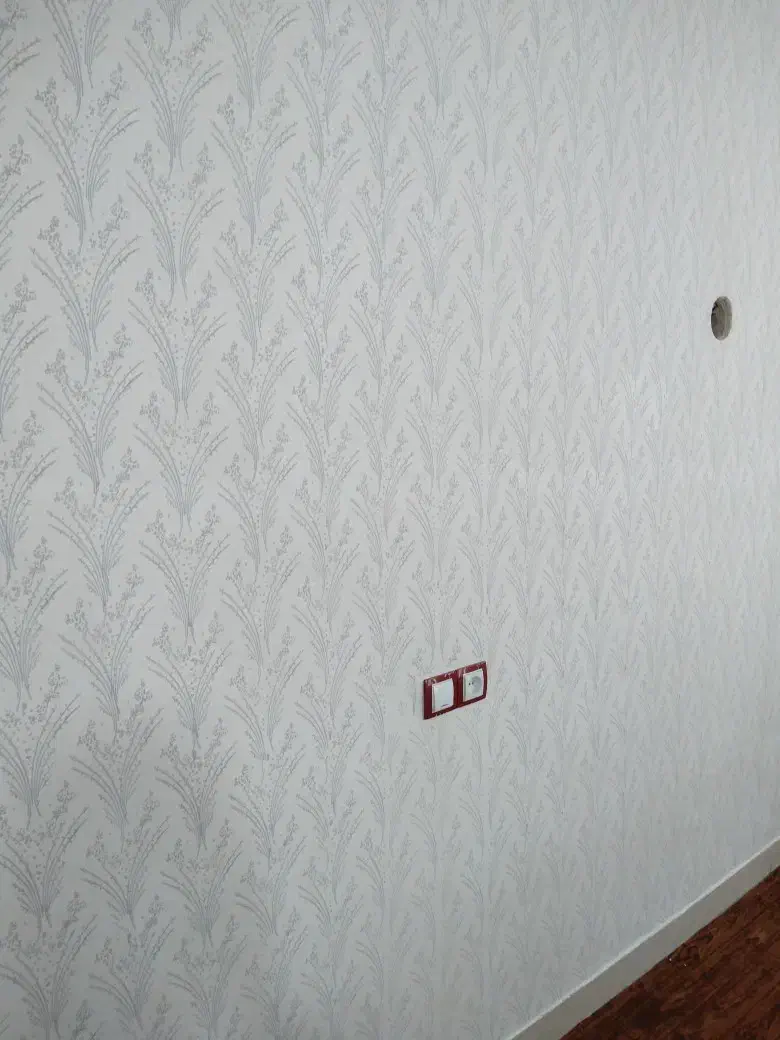 نقاشی ساختمان طرح کاغذدیواری|خدمات پیشه و مهارت|رشت, شهرک صبا|دیوار