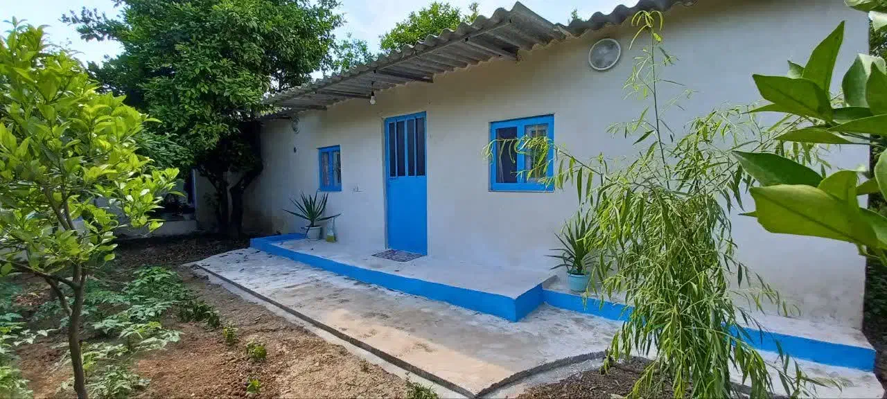 به دنبال مستاجر خانم|اجارهٔ خانه و ویلا|ساری, |دیوار