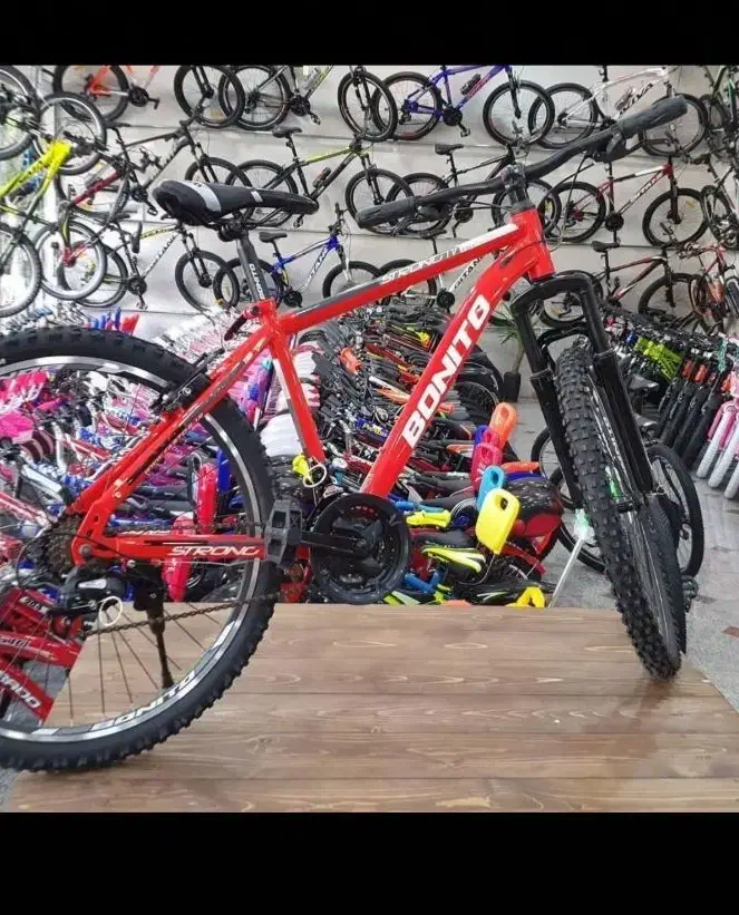 دوچرخه GIANT المپیا امپراطور٪ ترمز FLXX|دوچرخه، اسکیت، اسکوتر|بردسیر, |دیوار