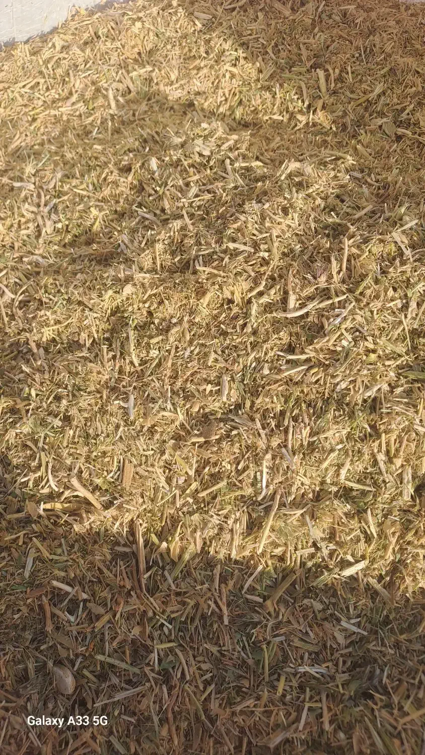 کاه کسن و کاه نخود سبز...و نخود پاک شده|حیوانات مزرعه|لردگان, |دیوار