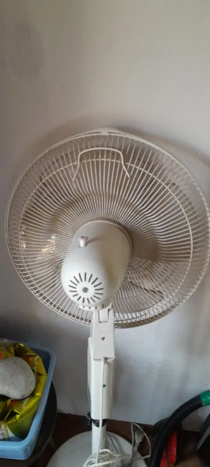 پنکه ایستاده|پنکه و تصفیه‌کنندهٔ هوا|نوشهر, |دیوار