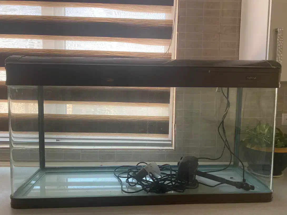 آکواریوم|ماهی|کرج, محمد آباد|دیوار