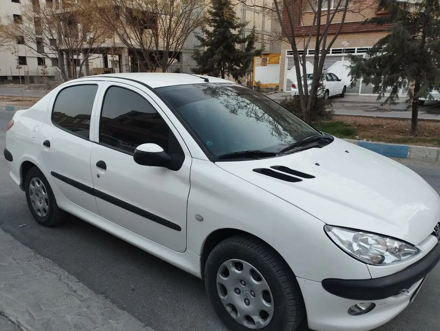 206SD موتور V8 مدل 94|خودرو سواری و وانت|فولادشهر, C3|دیوار