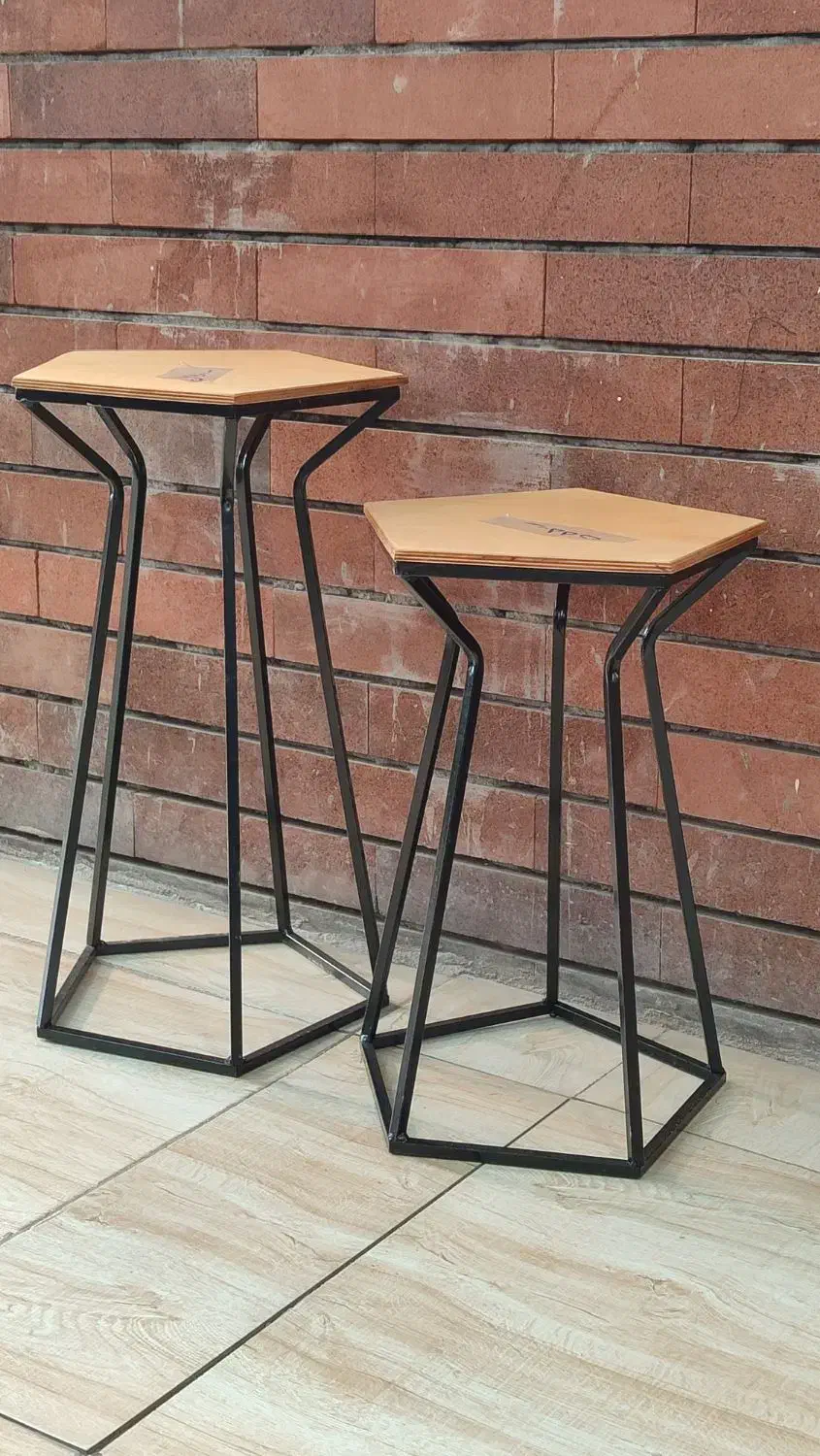 استند فلزی و چوب فلز|گل و گیاه طبیعی|کرمان, |دیوار