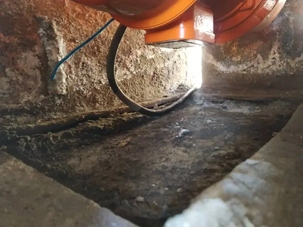 نیازمند نیروی کاری|استخدام صنعتی، فنی، مهندسی|زرقان, |دیوار