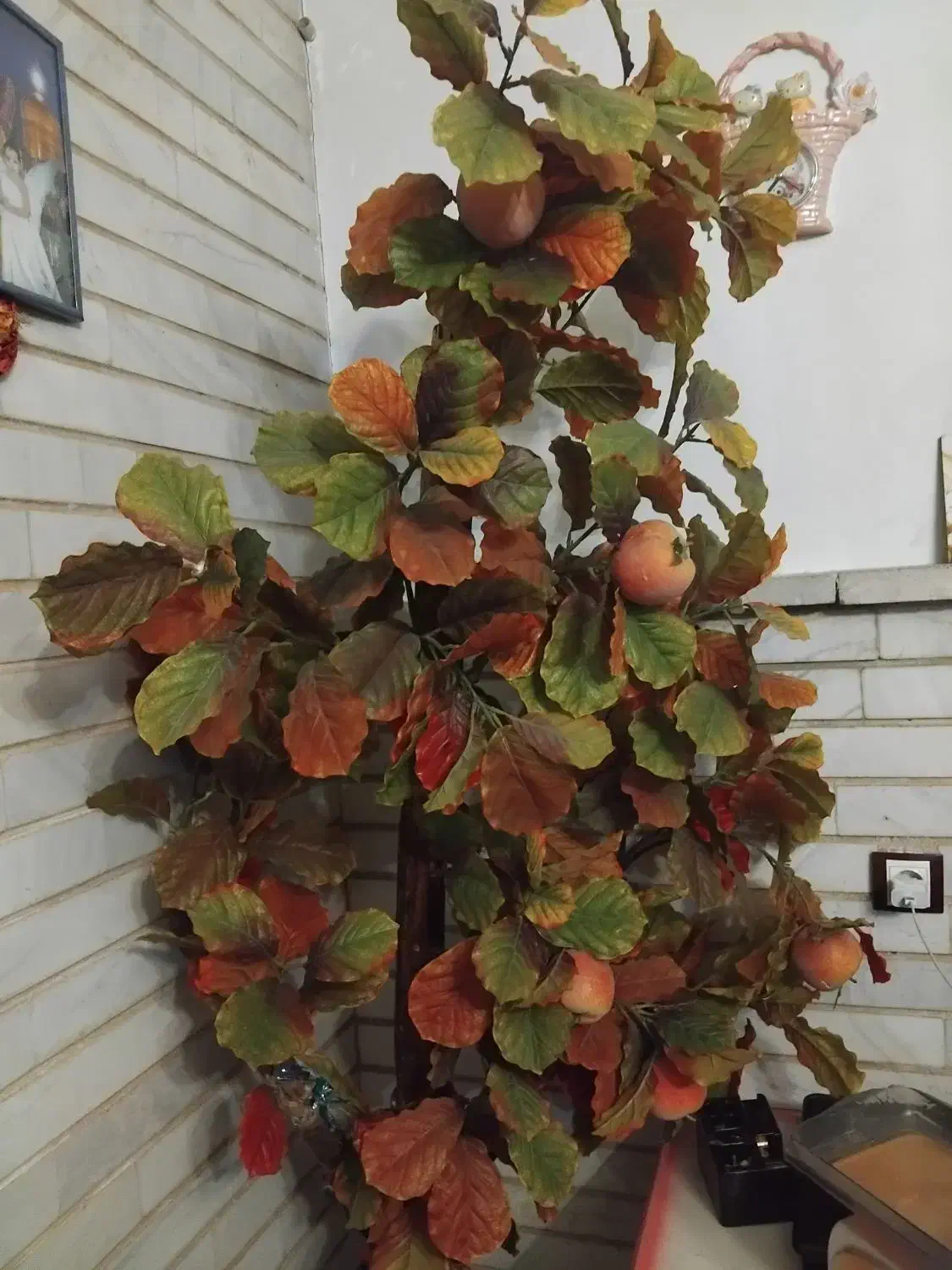 درختچه پاییزه|گل مصنوعی|تبریز, |دیوار