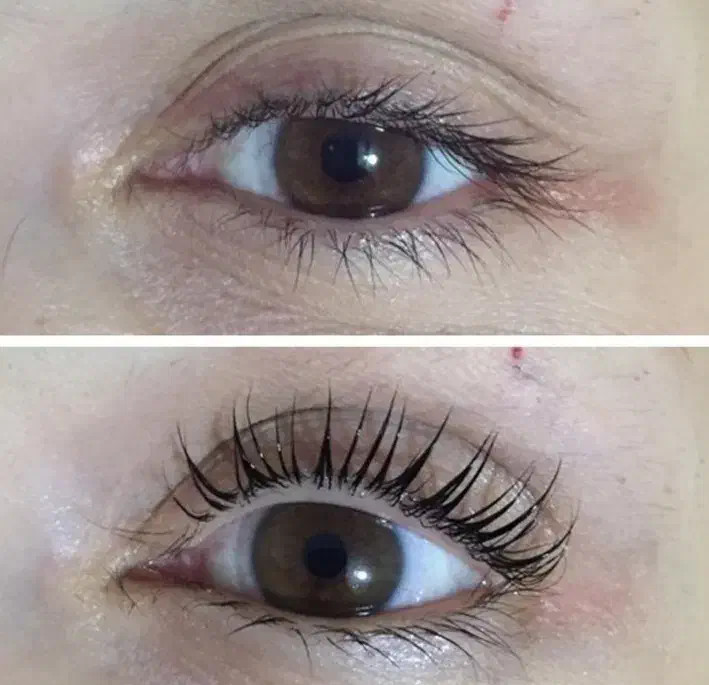 لیفت و لمینت مژه و لیفت ابرو|خدمات آرایشگری و زیبایی|بوشهر, |دیوار