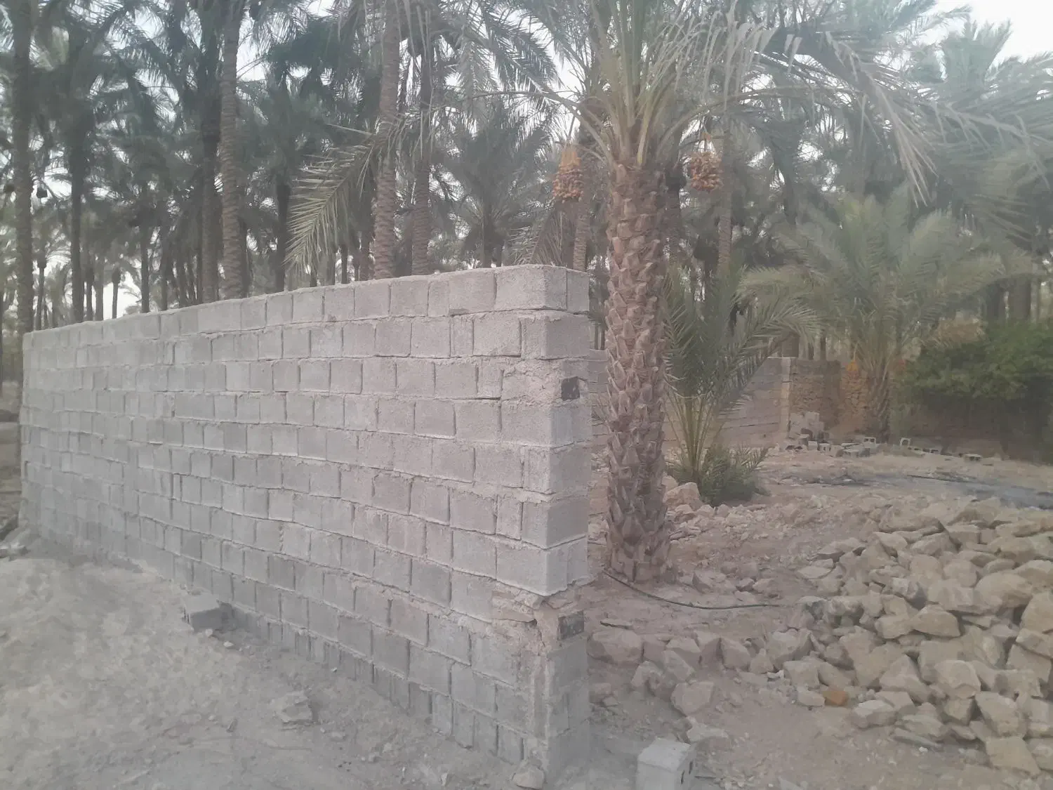 ۲۶۰متر زمین دیوار کشی مافی آباد|مصالح و تجهیزات ساختمان|خشت, |دیوار