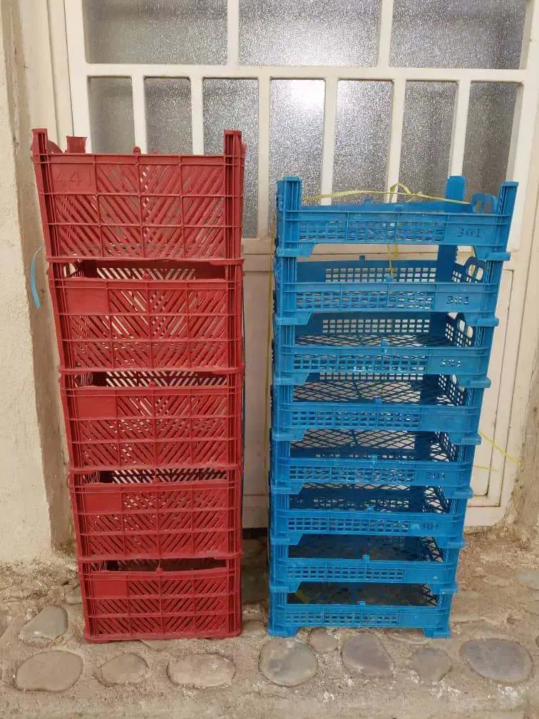 جعبه میوه (نو)|ظروف نگهدارنده، پلاستیکی، یکبارمصرف|گرمدره, |دیوار