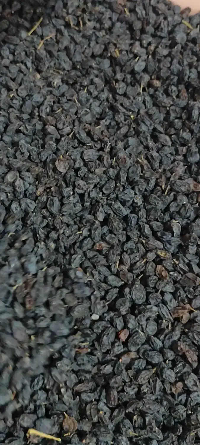 مویز درجه یک درشت بدون هسته امساله|خوردنی و آشامیدنی|نقده, |دیوار