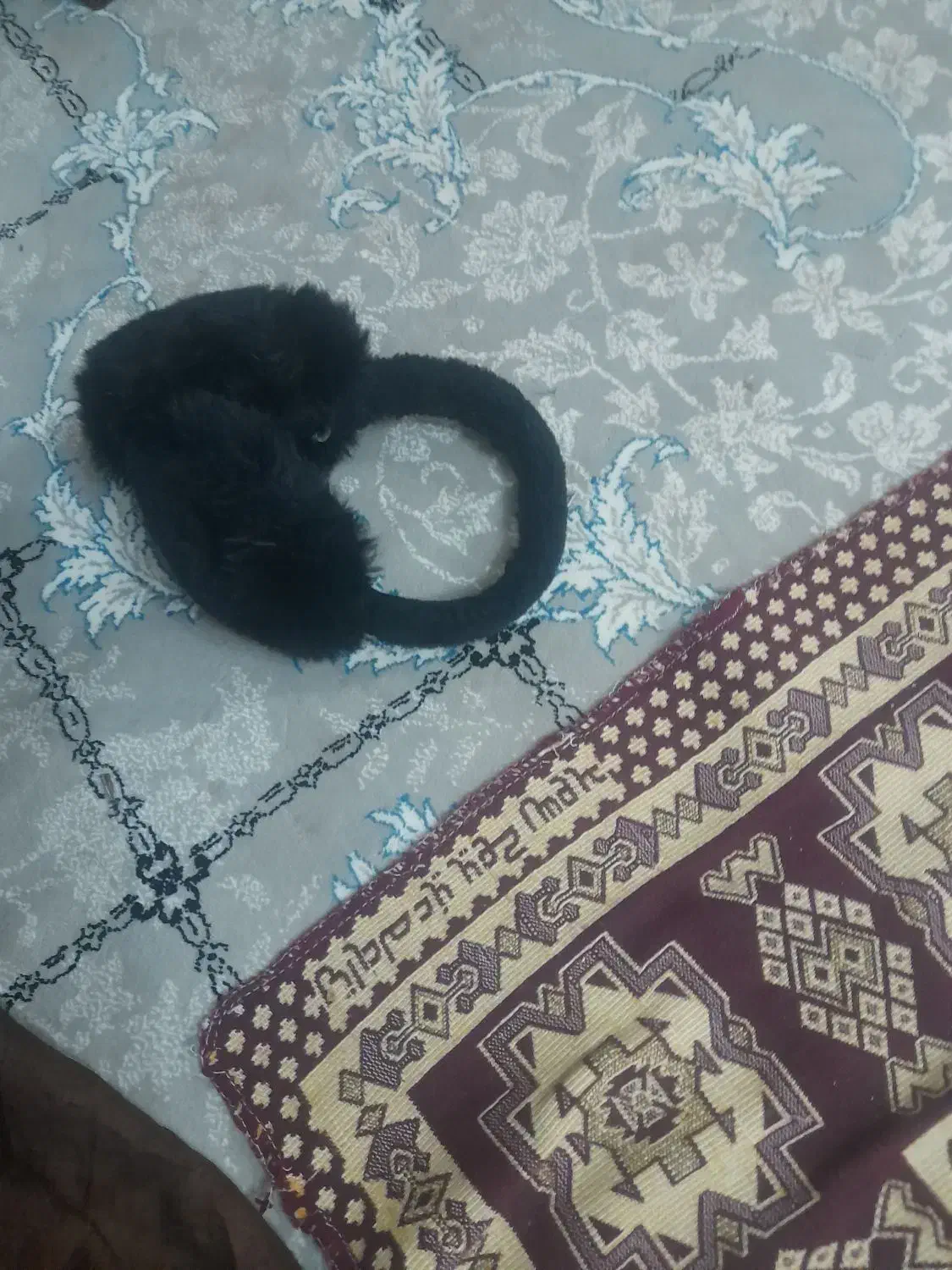 پیراهن وکت نونو وهدبند|کفش و لباس بچه|نیشابور, شهرک بهارستان|دیوار