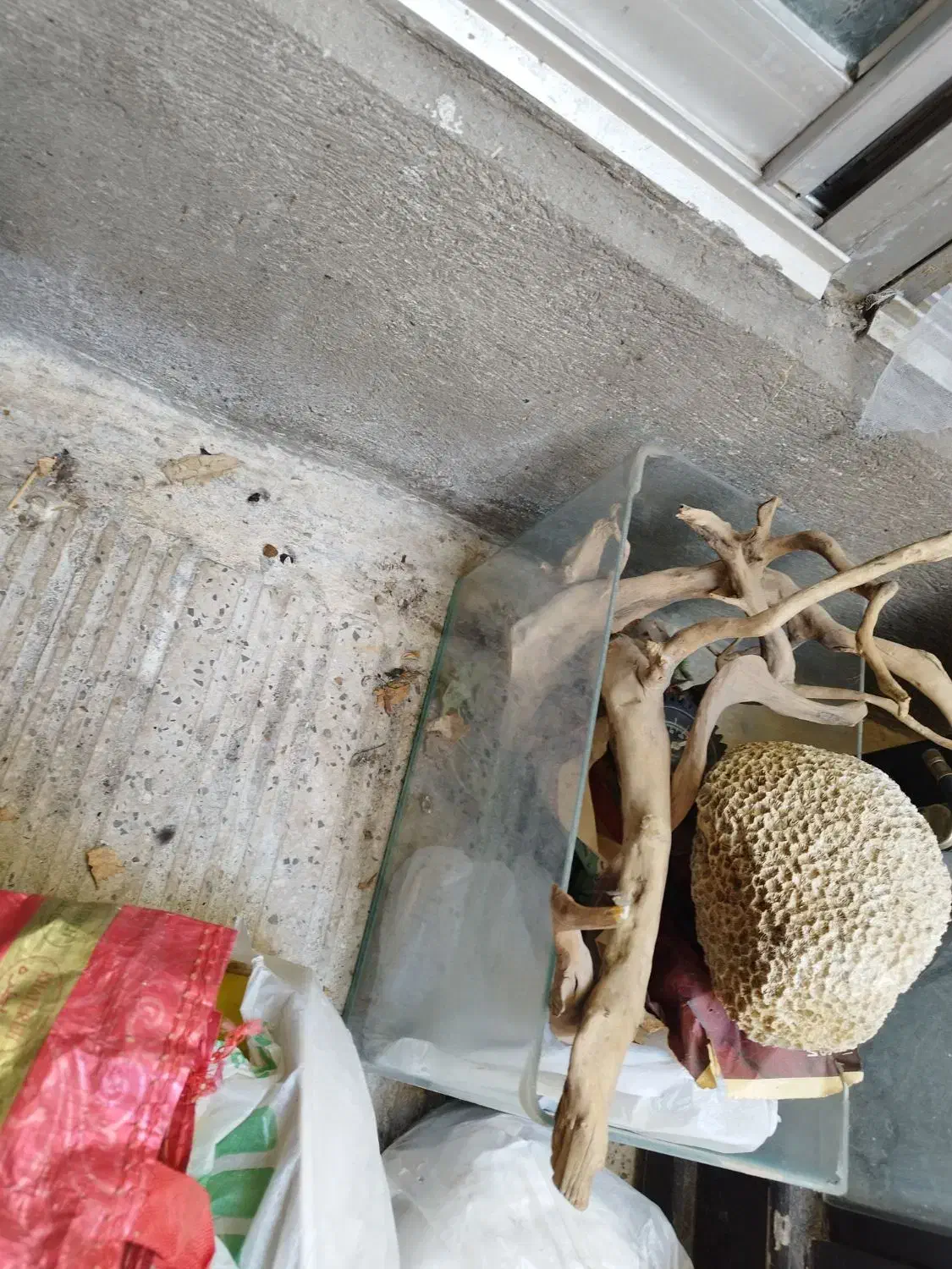 آکواریوم شیشه خم|ماهی|تهران, خاک سفید|دیوار