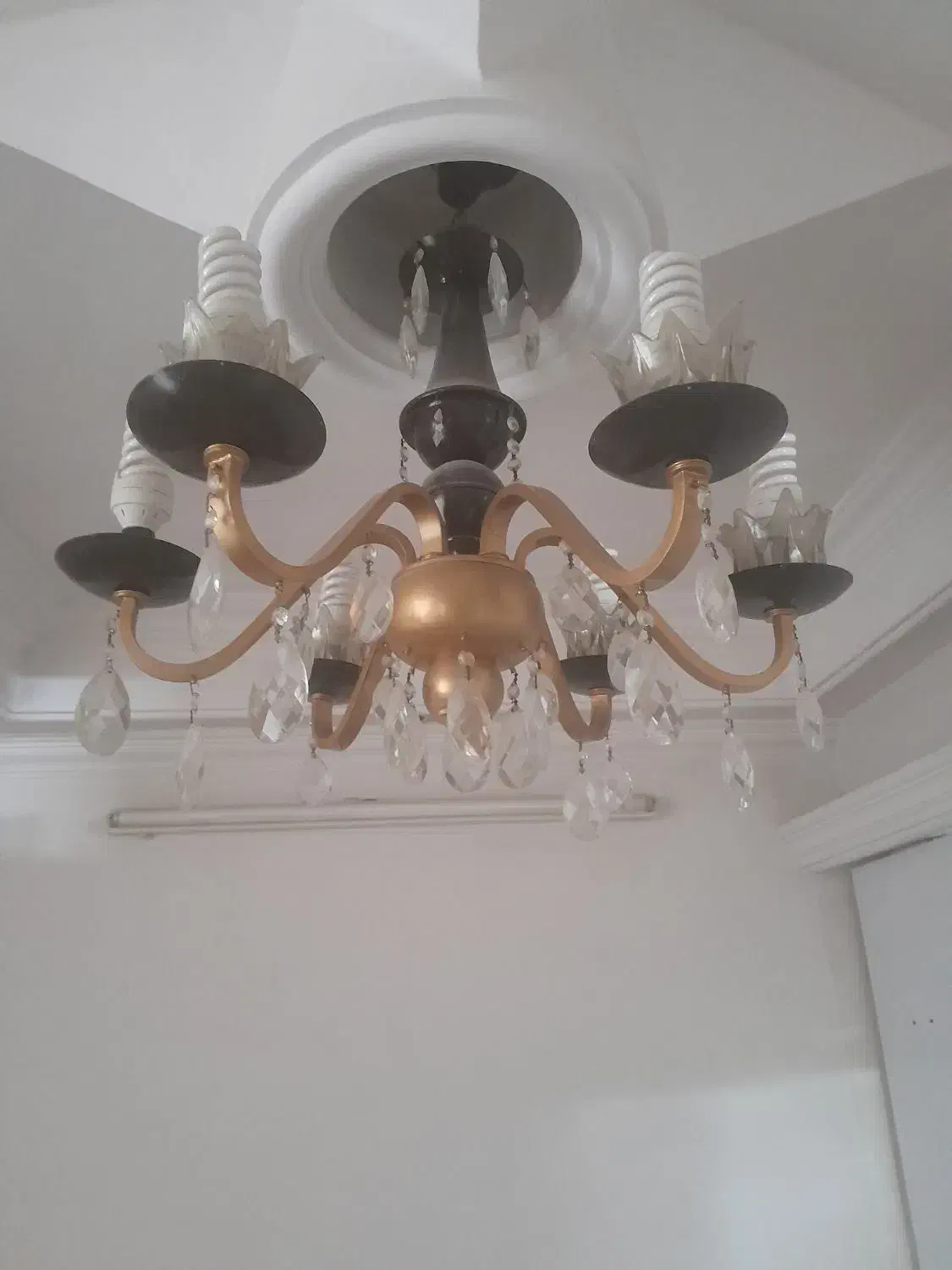 ۲ عدد لوستر درحدنو بزرگ ۱۰ شاخه برنج|لوستر و چراغ آویز|شاندیز, |دیوار