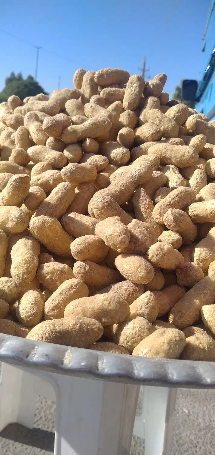 بادام زمینی با پوست(حراج)|عمده‌فروشی|بندر ماهشهر, |دیوار