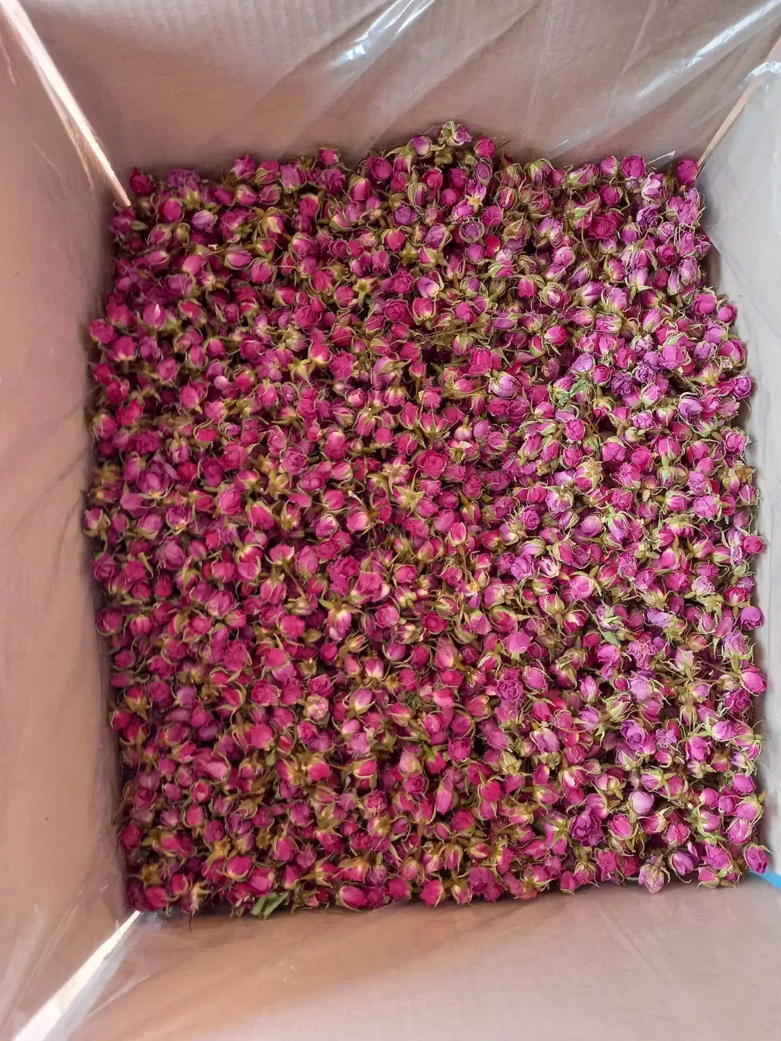 فروش غنچه گل محمدی لاله زار|خوردنی و آشامیدنی|لاله زار, |دیوار