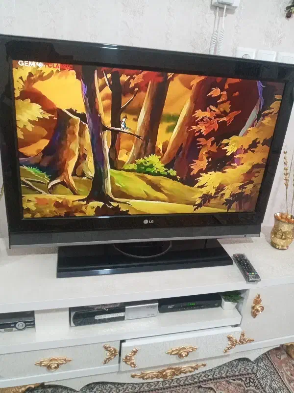 تلویزیون|تلویزیون و پروژکتور|سلماس, |دیوار