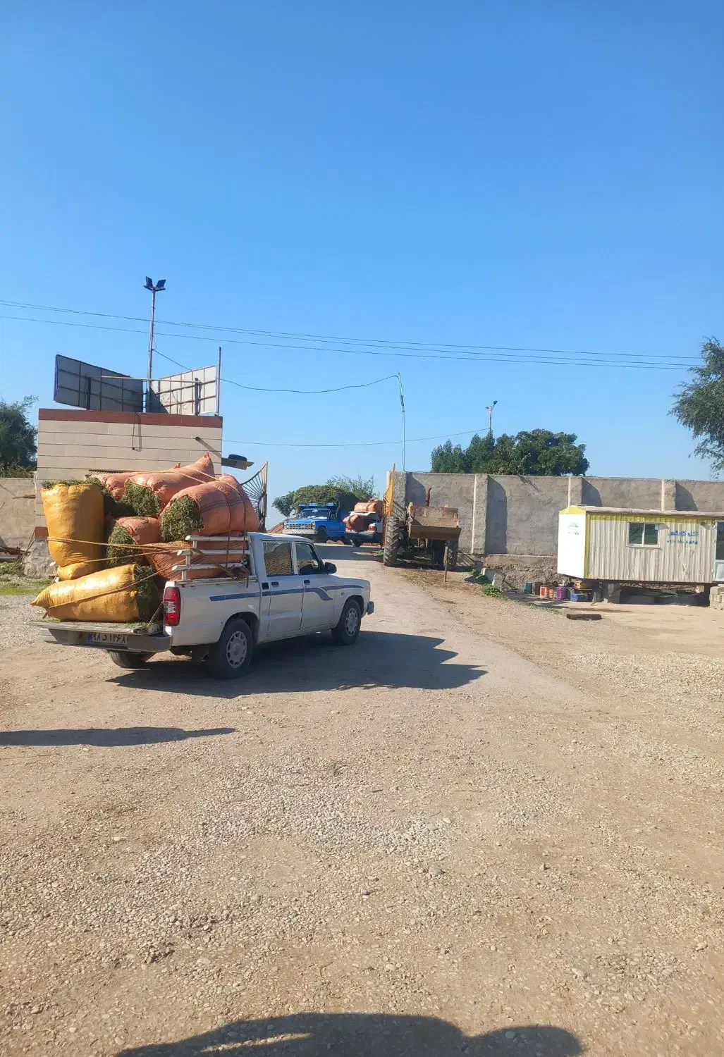 یونجه سبز|عمدهفروشی|شوشتر, |دیوار