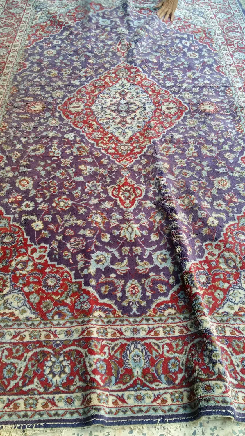 قالی ۶ متری|فرش|بوشهر, |دیوار