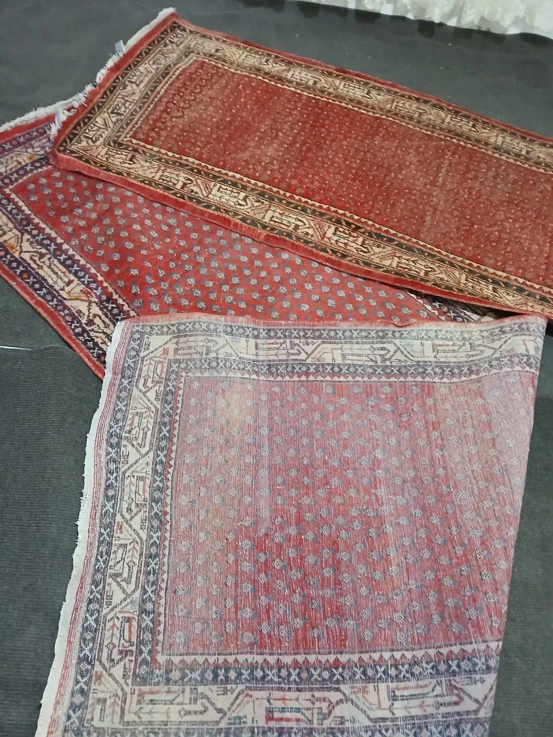 فرش دستبافت ۳متری|فرش|اراک, |دیوار