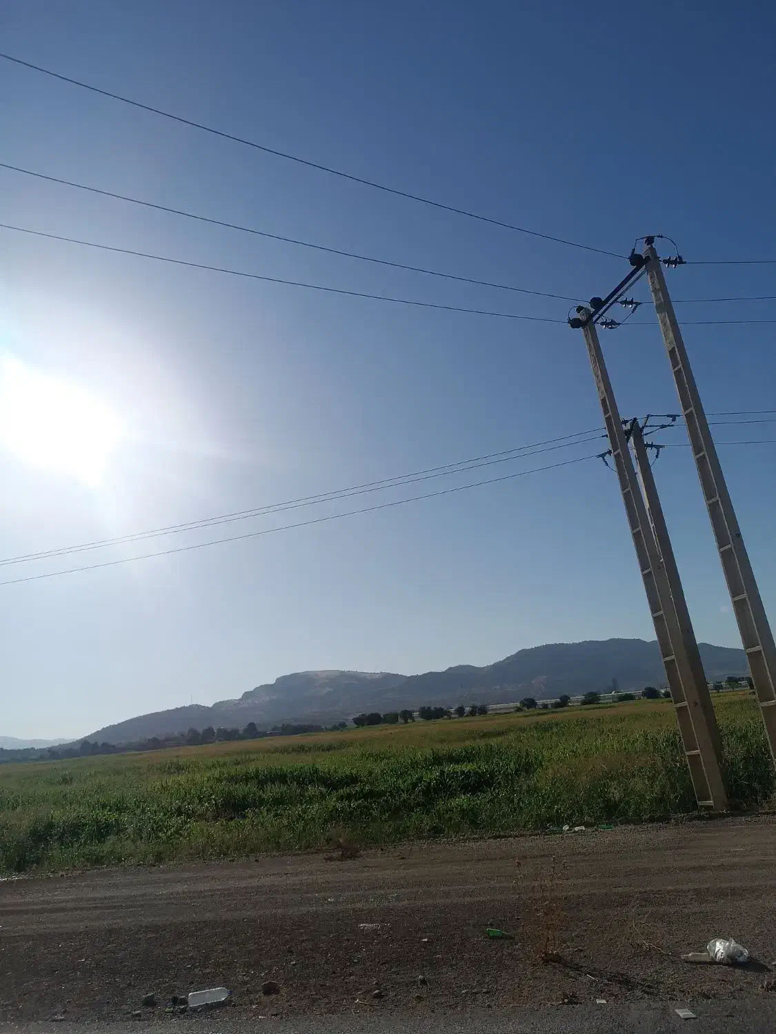 اجاره زمین کشاورزی با آب چاه در کرک سفلی|اجارهٔ دفتر صنعتی، کشاورزی، تجاری|گیان, |دیوار