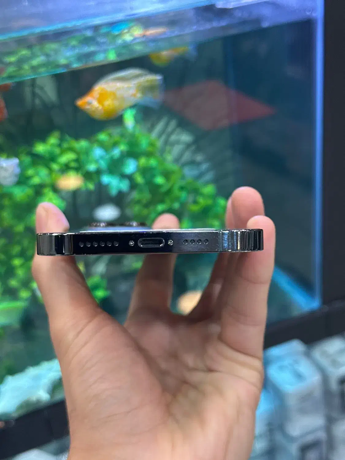 13pro max|موبایل|شیراز, زند|دیوار