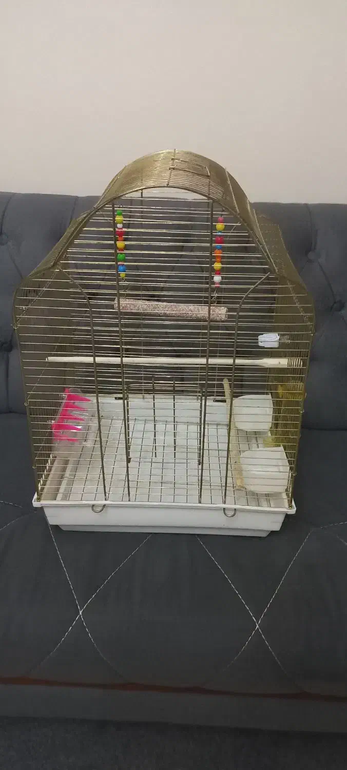 قفس|لوازم جانبی حیوانات|سهند, |دیوار