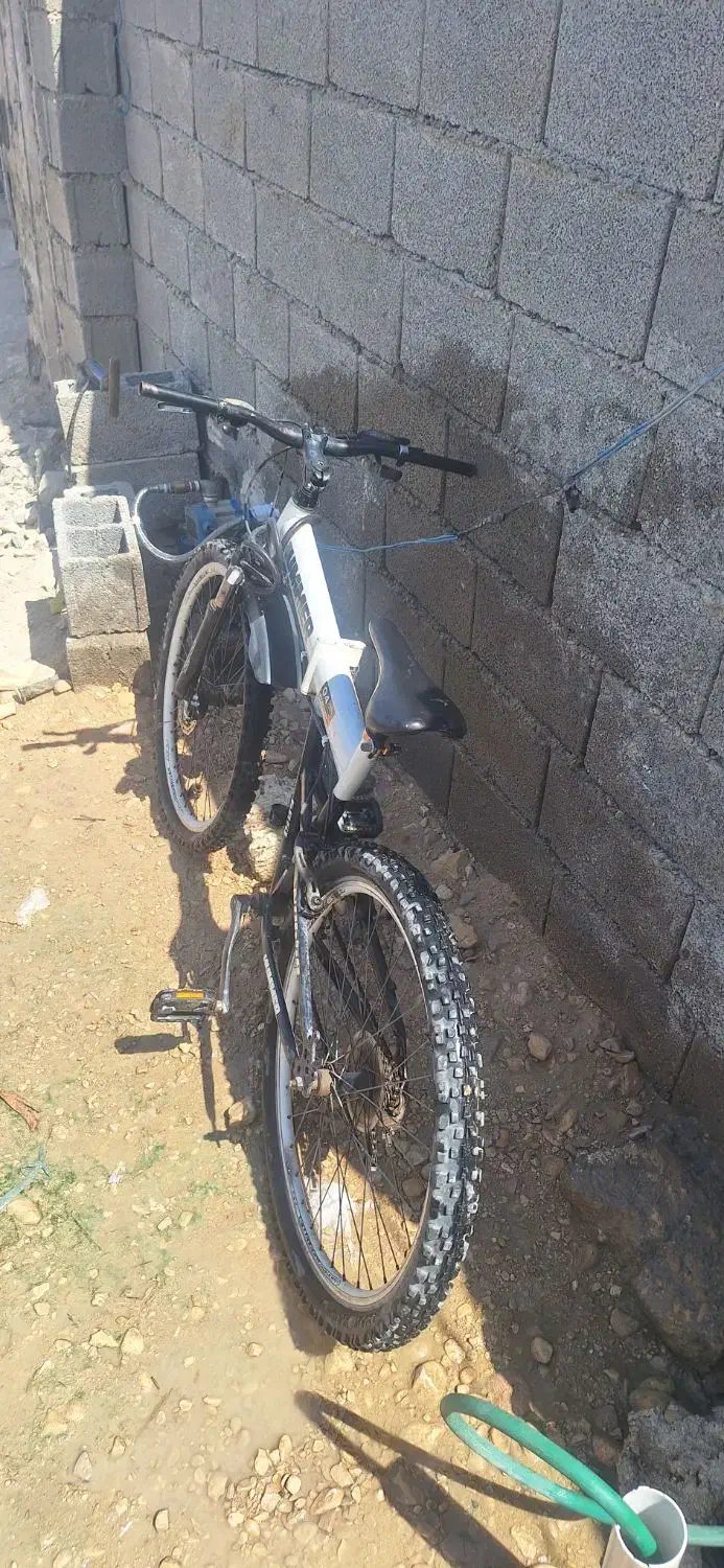 دوچرخه 26|دوچرخه، اسکیت، اسکوتر|بوشهر, |دیوار