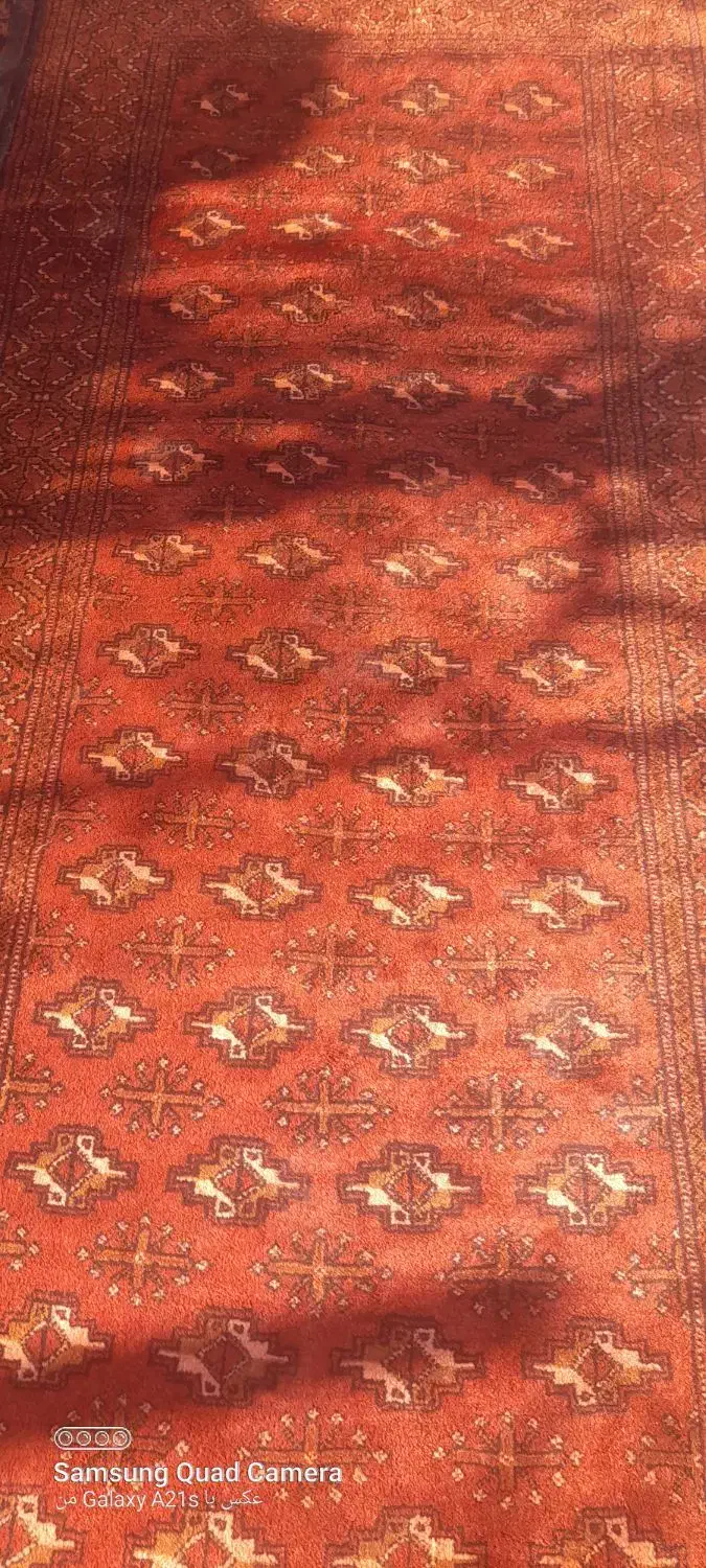 فرش دستباف قدیمی|فرش|زاهدان, |دیوار