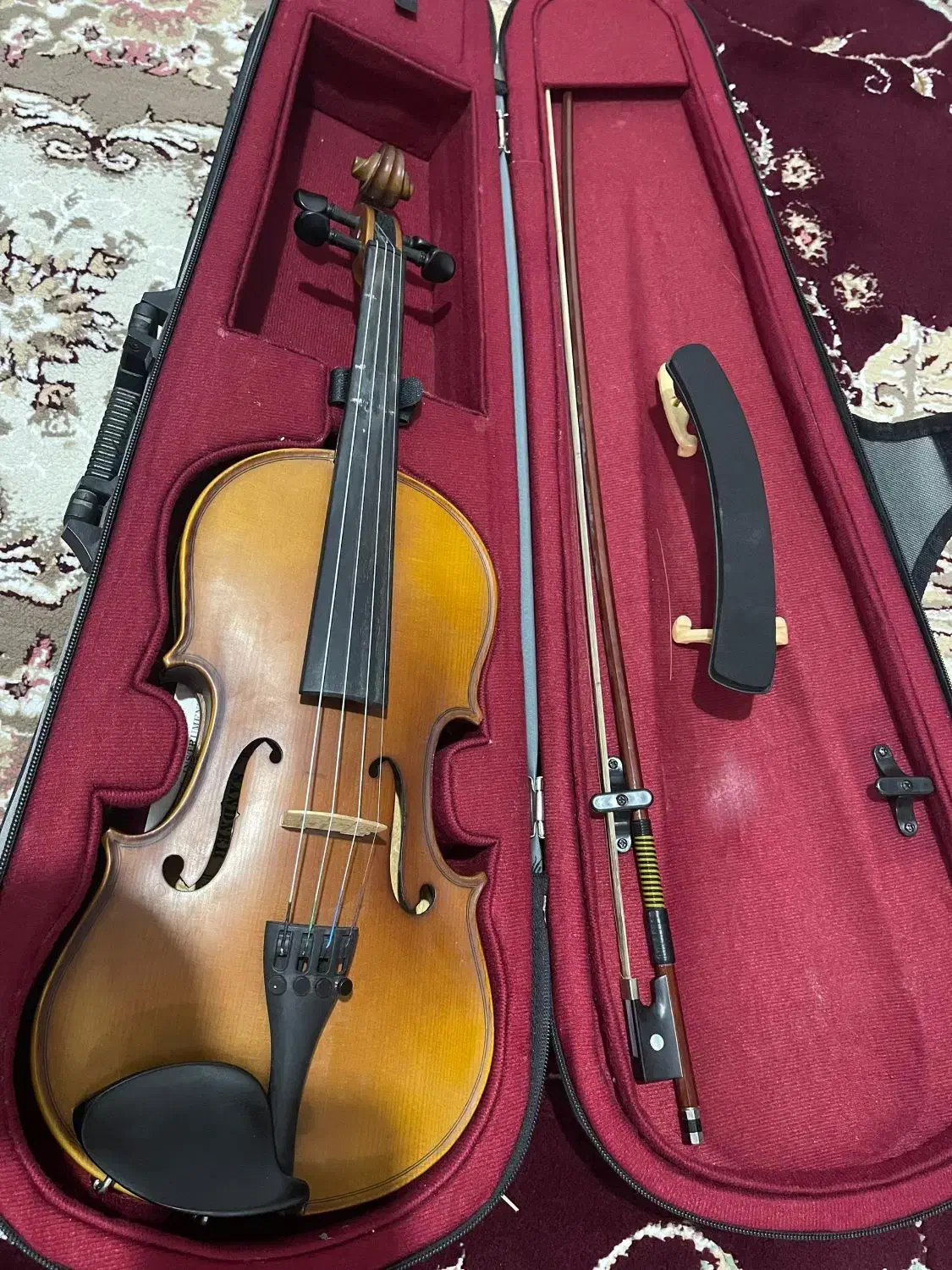 ویالن|ویولن|جهرم, |دیوار