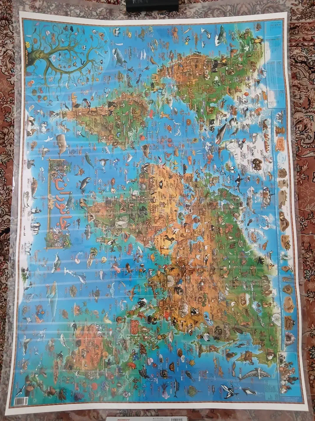 پوسترهای دیواری جذاب برای کودک و نوجوان|تابلو، نقاشی، عکس|مشهد, سجاد شهر|دیوار