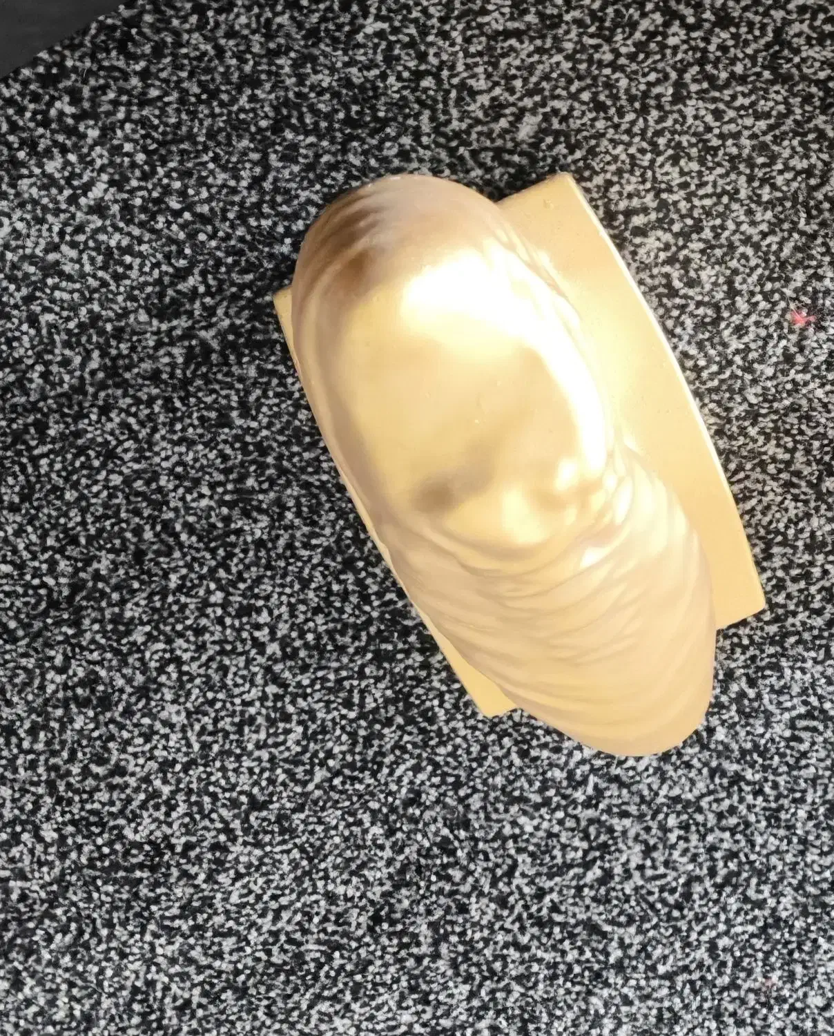 توپ طلا جام جهانی وکفش طلا|کلکسیون و سرگرمی|بهبهان, |دیوار