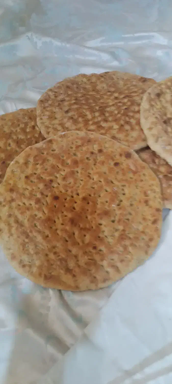 تنور خونگی مخصوص کسب کارخانگی|اجاق گاز و لوازم برقی پخت‌وپز|بندرعباس, |دیوار