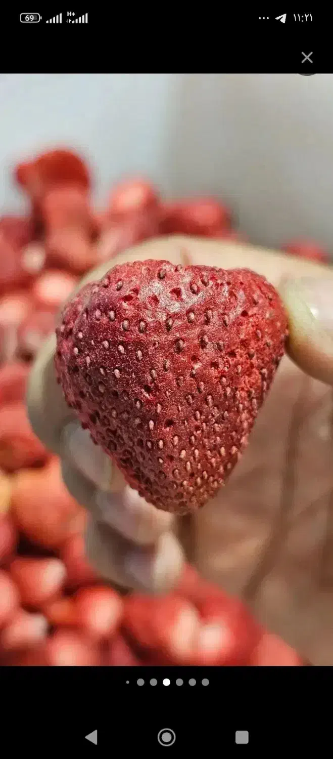 دستگاه خشک کن میوه،توت فرنگی،فریزدرایر خانگیfm10|ماشین‌آلات صنعتی|تهران, شهرآرا|دیوار