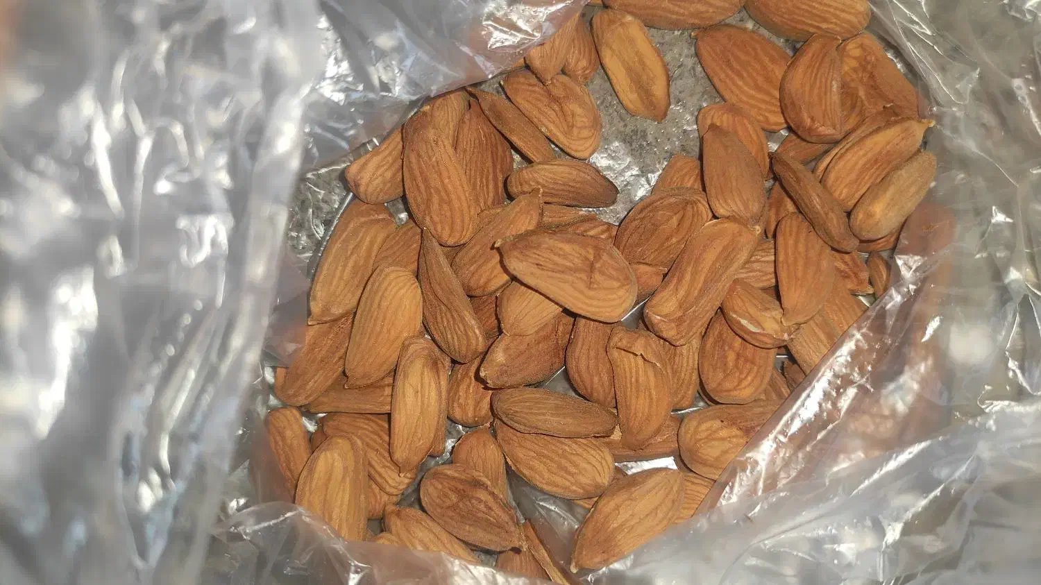 خرید بادام با بهترین قیمت|خدمات باغبانی و درختکاری|سامان, |دیوار