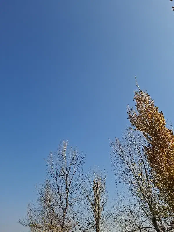 زمین مناسب سوله و ویلا در بهترین لوکیشن|فروش دفتر صنعتی، کشاورزی، تجاری|خسروشاه, |دیوار