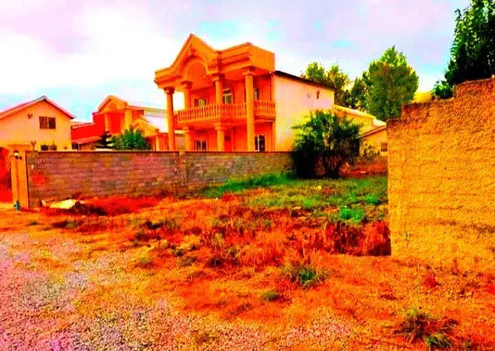 زمین نور جنگلی٪شهرک/نزدیک به تهران+سنددار|فروش زمین و ملک کلنگی|امامزاده عبدالله, |دیوار