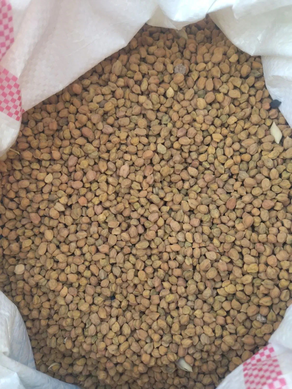 نخودقرمز|خوردنی و آشامیدنی|دهگلان, |دیوار