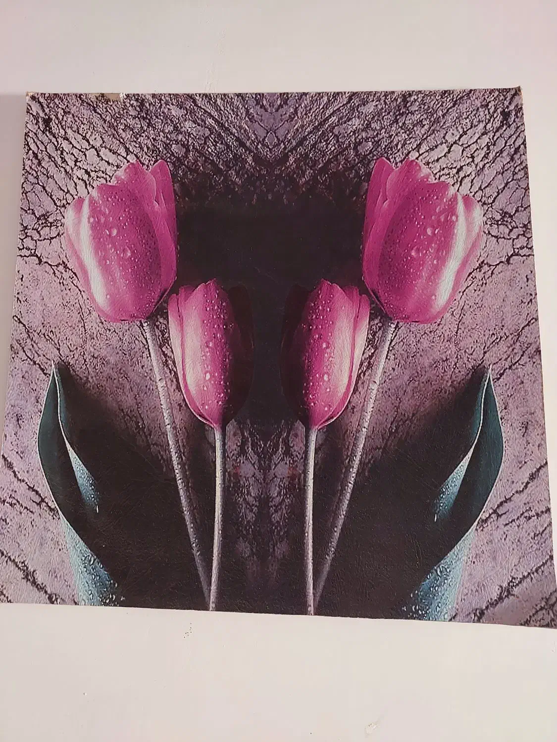 زمین کشاورزی|اجارهٔ دفتر صنعتی، کشاورزی، تجاری|اندیمشک, |دیوار