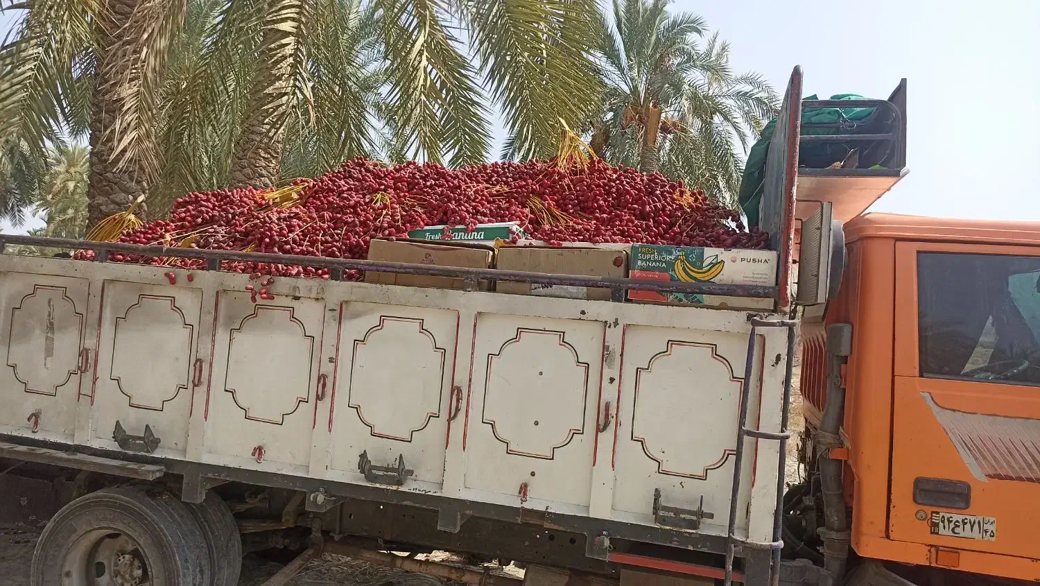 حمل بار|خدمات حمل و نقل|چابهار, |دیوار