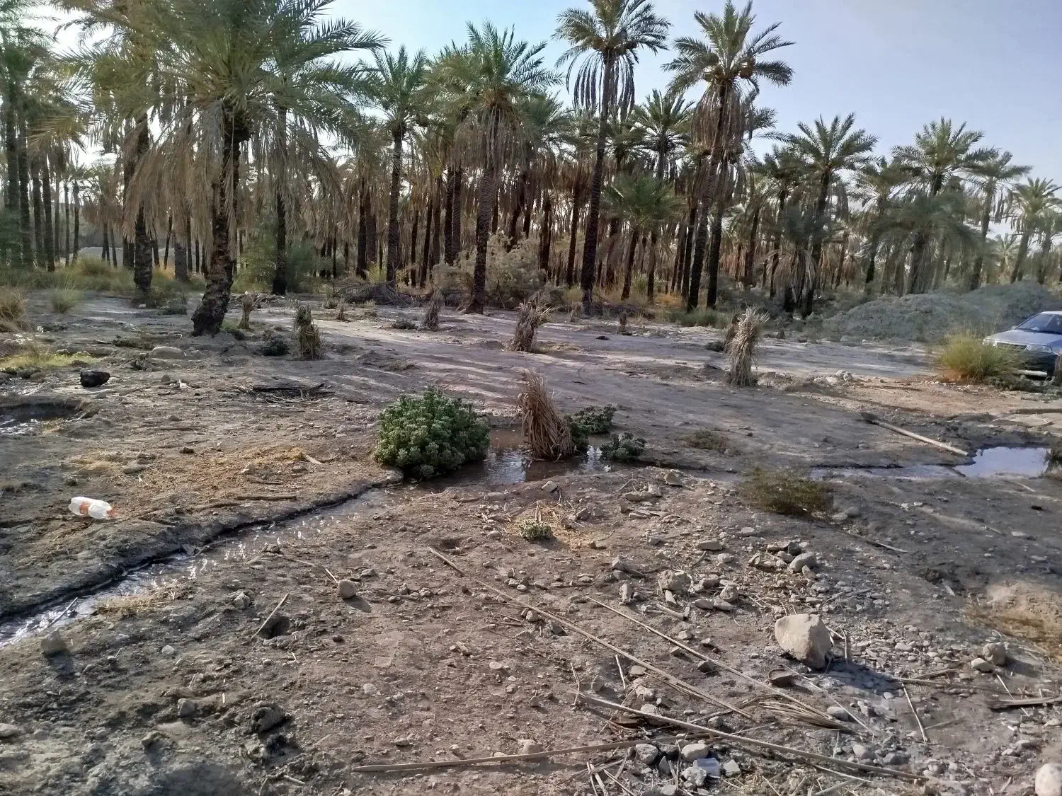 فروش زمین کشاورزی حاجی اباد معدنوییه|فروش دفتر صنعتی، کشاورزی، تجاری|حاجی آباد, |دیوار