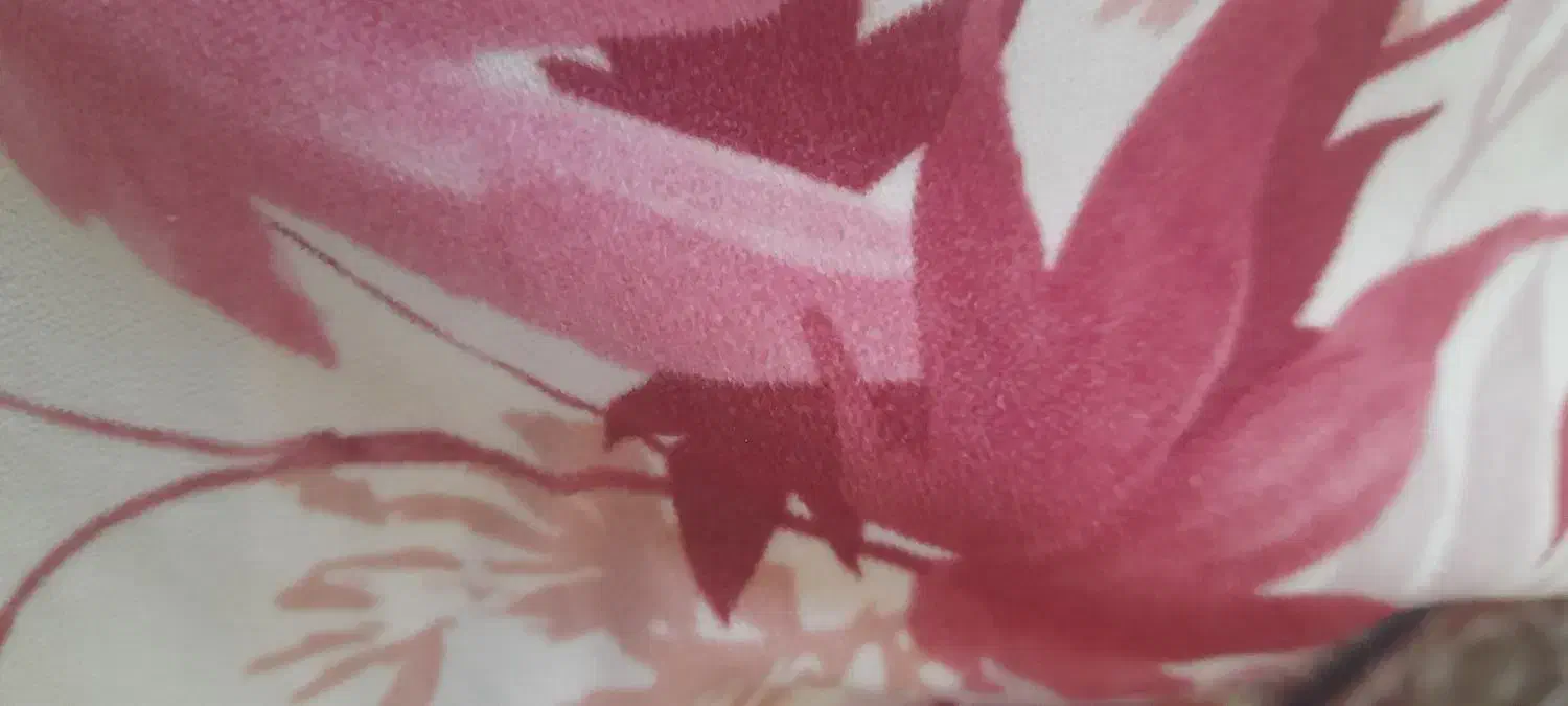 مدارک گم شده|اشیا|ابهر, |دیوار